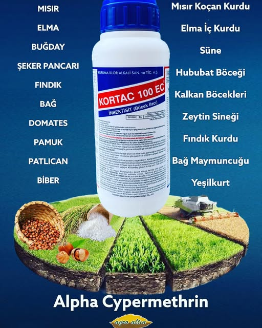 Kortac 100 EC 250ML Böcek İlacı