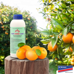 Mavi Bordo 10 SC Bordo Bulamacı 1LT