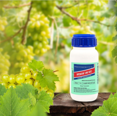 Pesos 100 EC Külleme İlacı 250ML